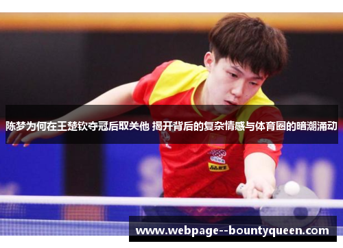陈梦为何在王楚钦夺冠后取关他 揭开背后的复杂情感与体育圈的暗潮涌动